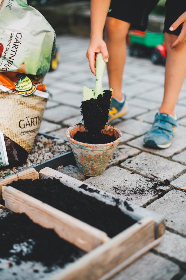 Guerilla gardening